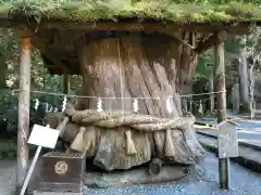 小國神社(静岡県)