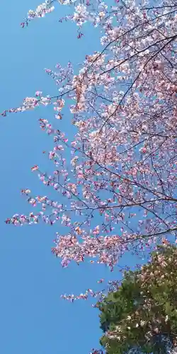 北海道護國神社の自然