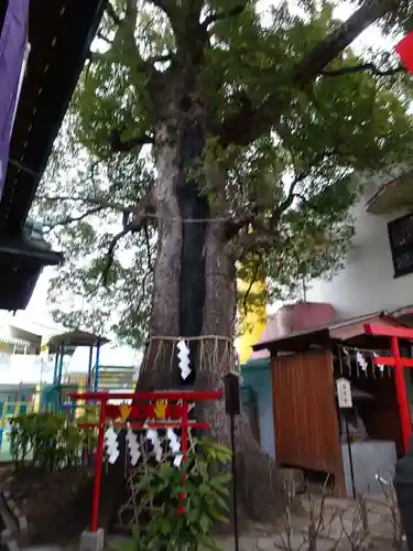 五方山熊野神社(東京都)