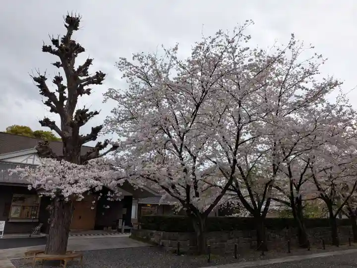 宝仙寺(東京都)