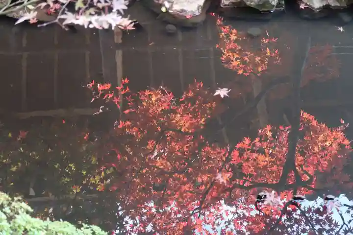 正法寺(京都府)