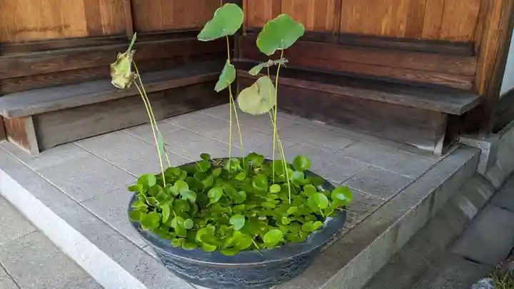 粟嶋堂宗徳寺の庭園