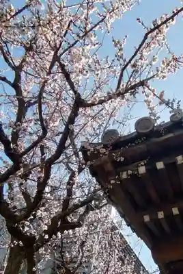 新井薬師（梅照院）(東京都)