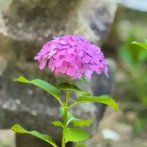 伊勢の国 四天王寺(三重県)