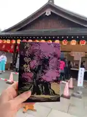 櫻木神社の御朱印帳