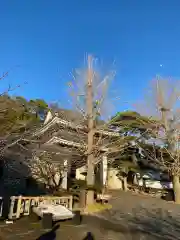 巴江神社(愛知県)