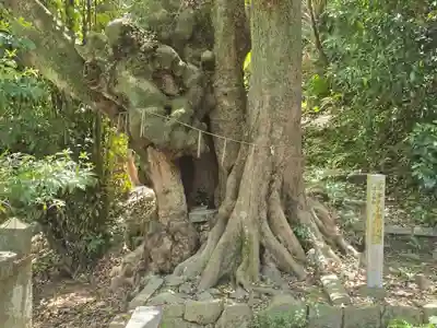 高良神社(京都府)