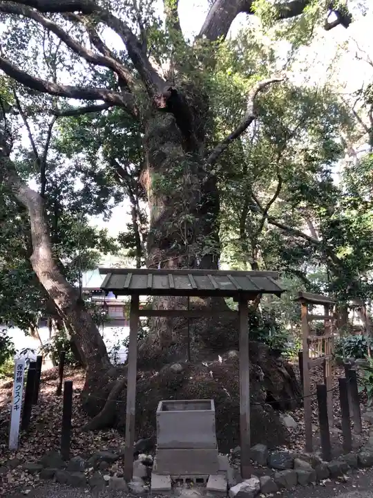 高座結御子神社(熱田神宮摂社)の自然