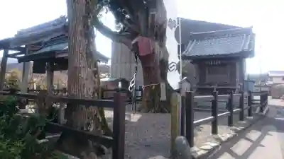 春日神社の本殿・本堂