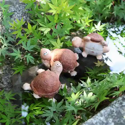 三津厳島神社の狛犬