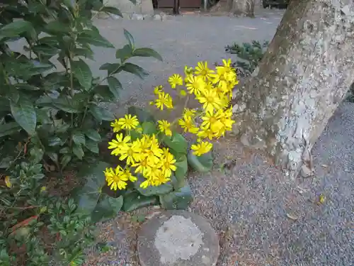 宗像大社中津宮(福岡県)