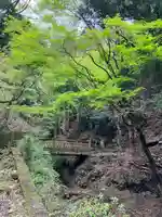 大山寺(神奈川県)