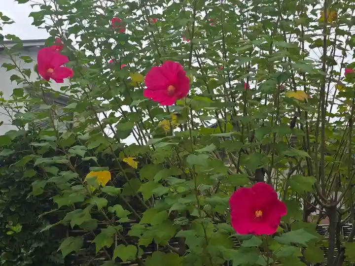 紅谷庵(大阪府)