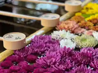 土津神社|こどもと出世の神さまの手水舎