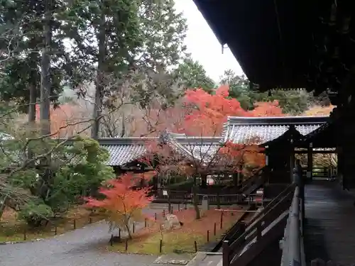 真正極楽寺（真如堂）の景色