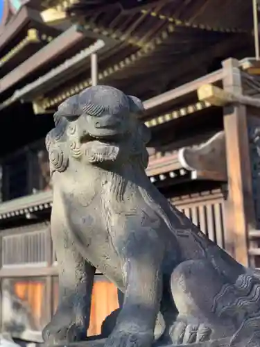 赤羽八幡神社の狛犬