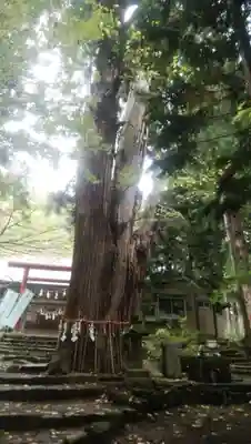 磐椅神社(福島県)