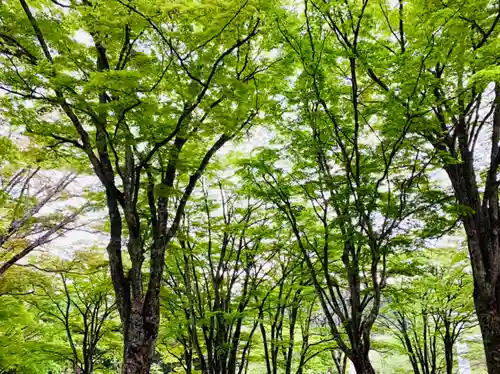 土津神社｜こどもと出世の神さまの自然