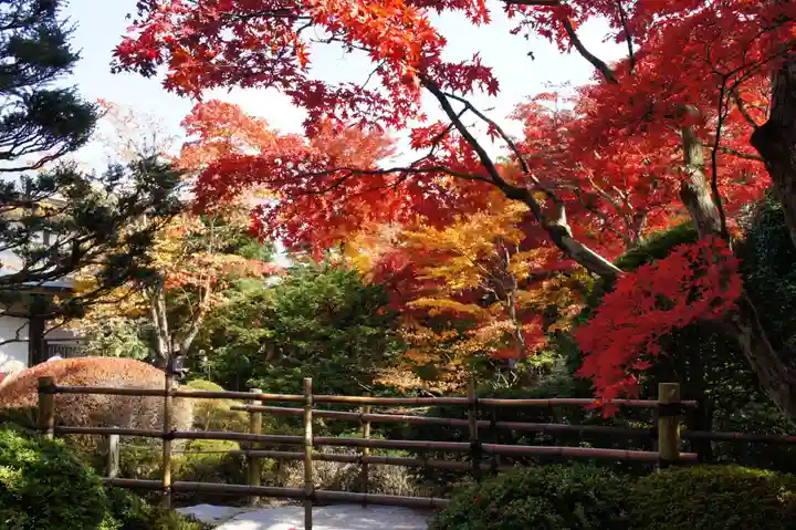 輪王寺(栃木県)