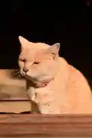 百済寺(滋賀県)