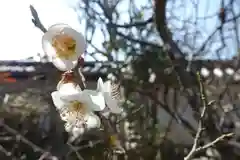 菅原天満宮（菅原神社）(奈良県)