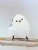 osamuさんのプロフィール画像