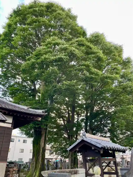 清巌寺(栃木県)