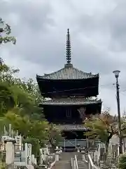 くろ谷 金戒光明寺(京都府)