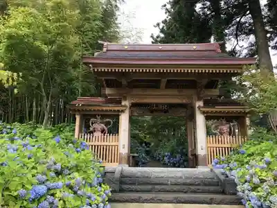 雲昌寺の山門・神門