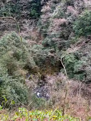 天岩戸神社(宮崎県)
