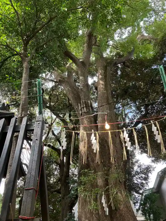 太子堂八幡神社(東京都)