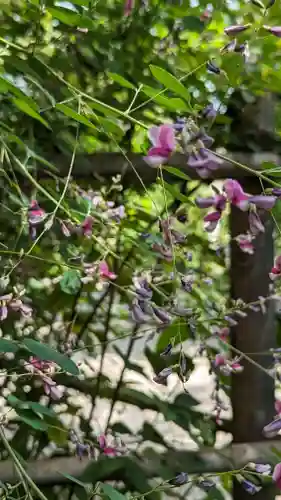 梨木神社(京都府)