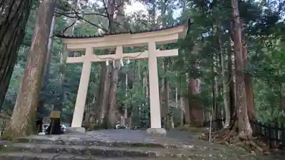 飛瀧神社(熊野那智大社別宮)の鳥居