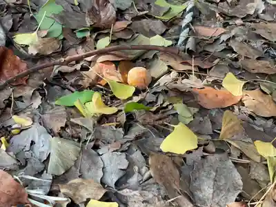 伊勢の国 四天王寺(三重県)