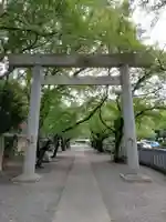 酒見神社の鳥居