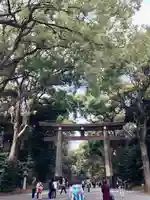 明治神宮の鳥居