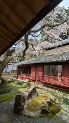 十輪寺(京都府)