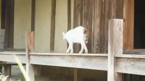 法華寺(奈良県)