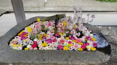 荘内神社の手水舎