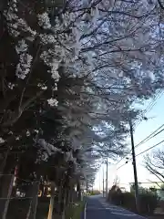 神明社の自然