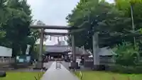 浅草神社の鳥居