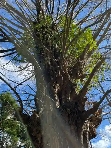 鞆江神社（明地）(愛知県)