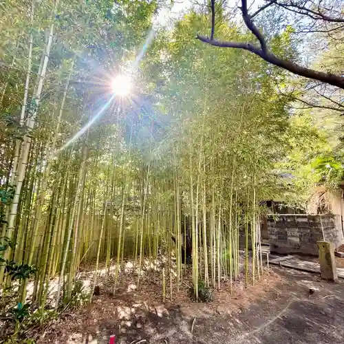 鳥飼八幡宮(福岡県)