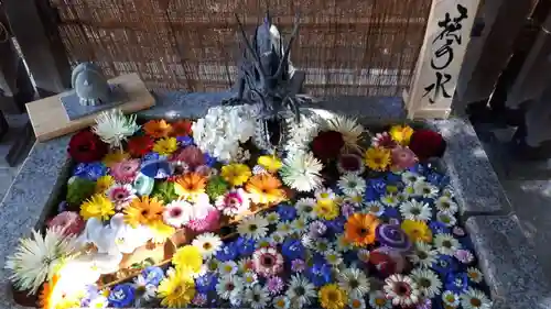 札幌諏訪神社の手水舎