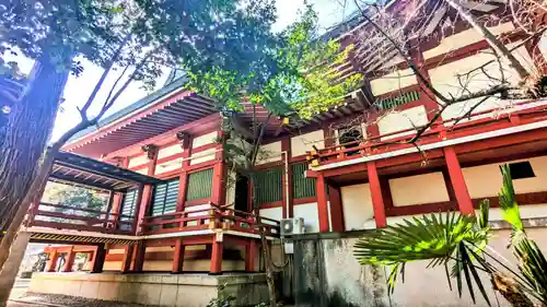 柏諏訪神社の本殿・本堂