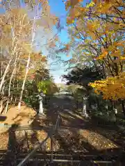 岩内神社の自然