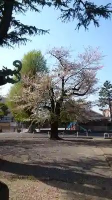 寛永寺(根本中堂)(東京都)