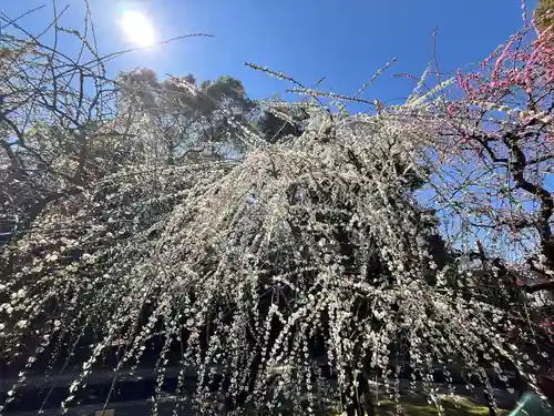 城南宮(京都府)