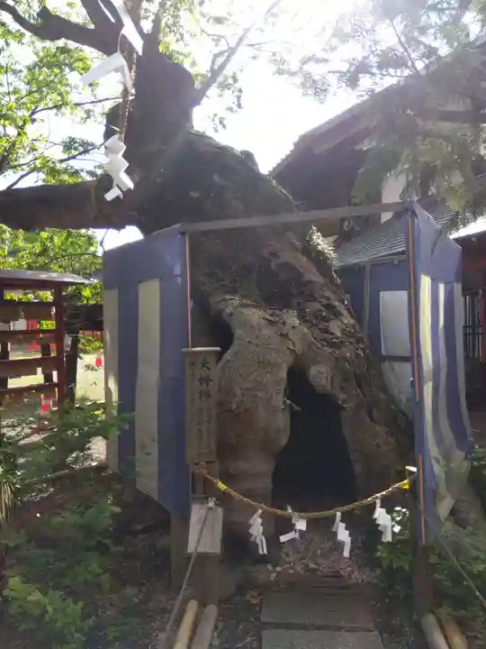 生島足島神社(長野県)
