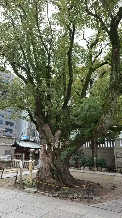 難波神社の自然